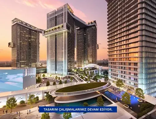 IMG_1641-ezgif.com-optiwebp